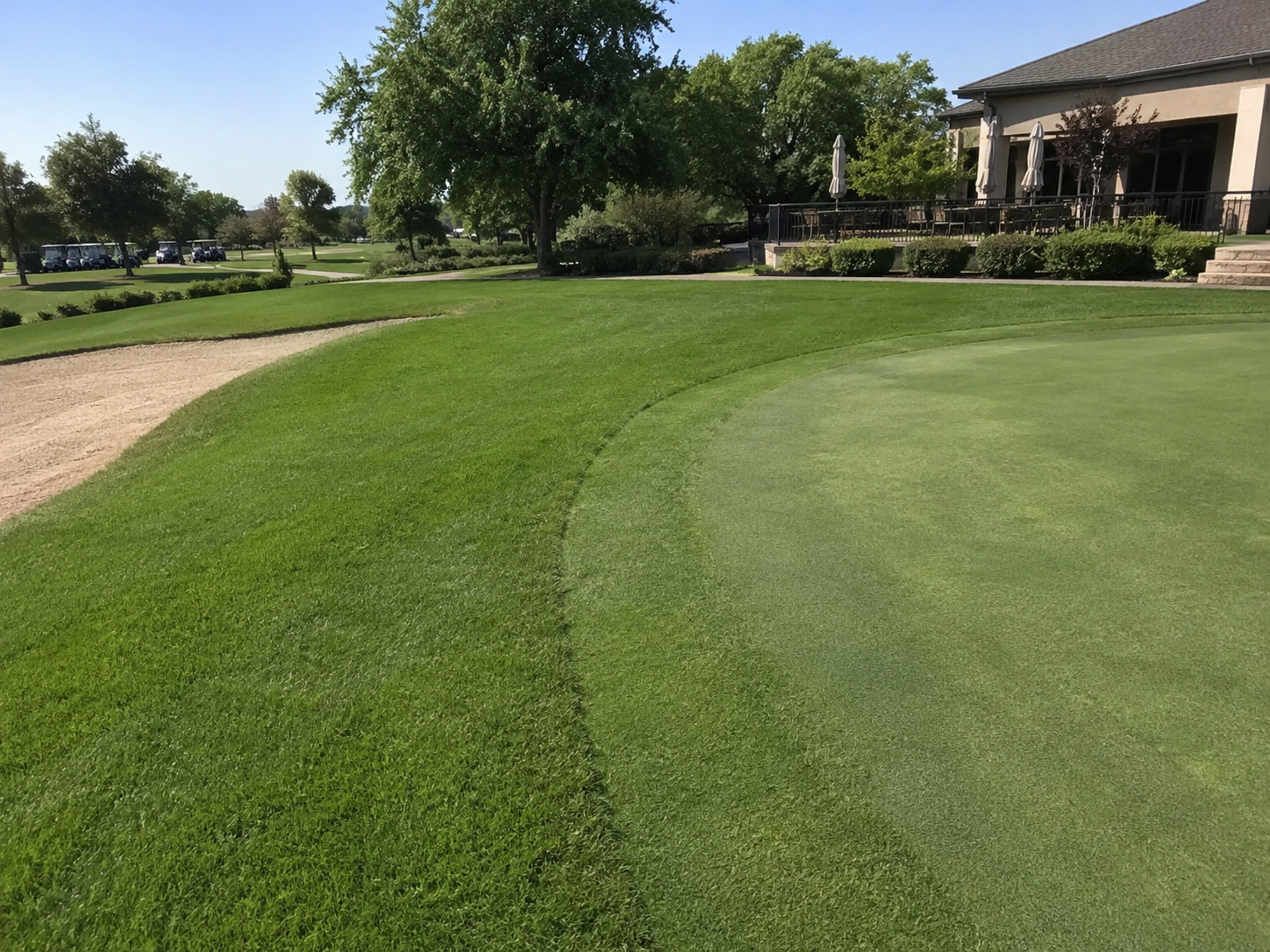 Close-cut golf green meeting a taller lawn